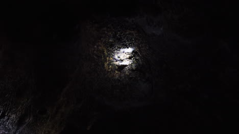 Bats-fluttering-on-the-roof-of-a-cave-illuminated-by-flashlight-in-darkness