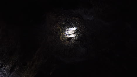 bats fluttering on the roof of a cave illuminated by flashlight in darkness