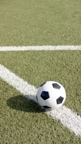 vertical video: soccer ball resting on green field, ready for outdoor sports action