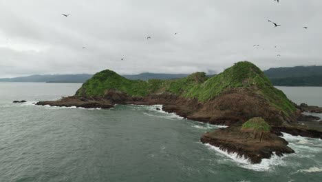 Pájaros-Dando-Vueltas-Isla-Rocosa-Costa-Rica-Drone-Aéreo