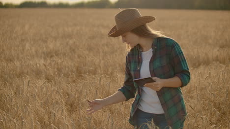 Junge-Bäuerin-Arbeitet-Bei-Sonnenuntergang-Mit-Tablet-Auf-Dem-Feld.-Die-Inhaberin-Eines-Kleinen-Geschäftskonzepts.