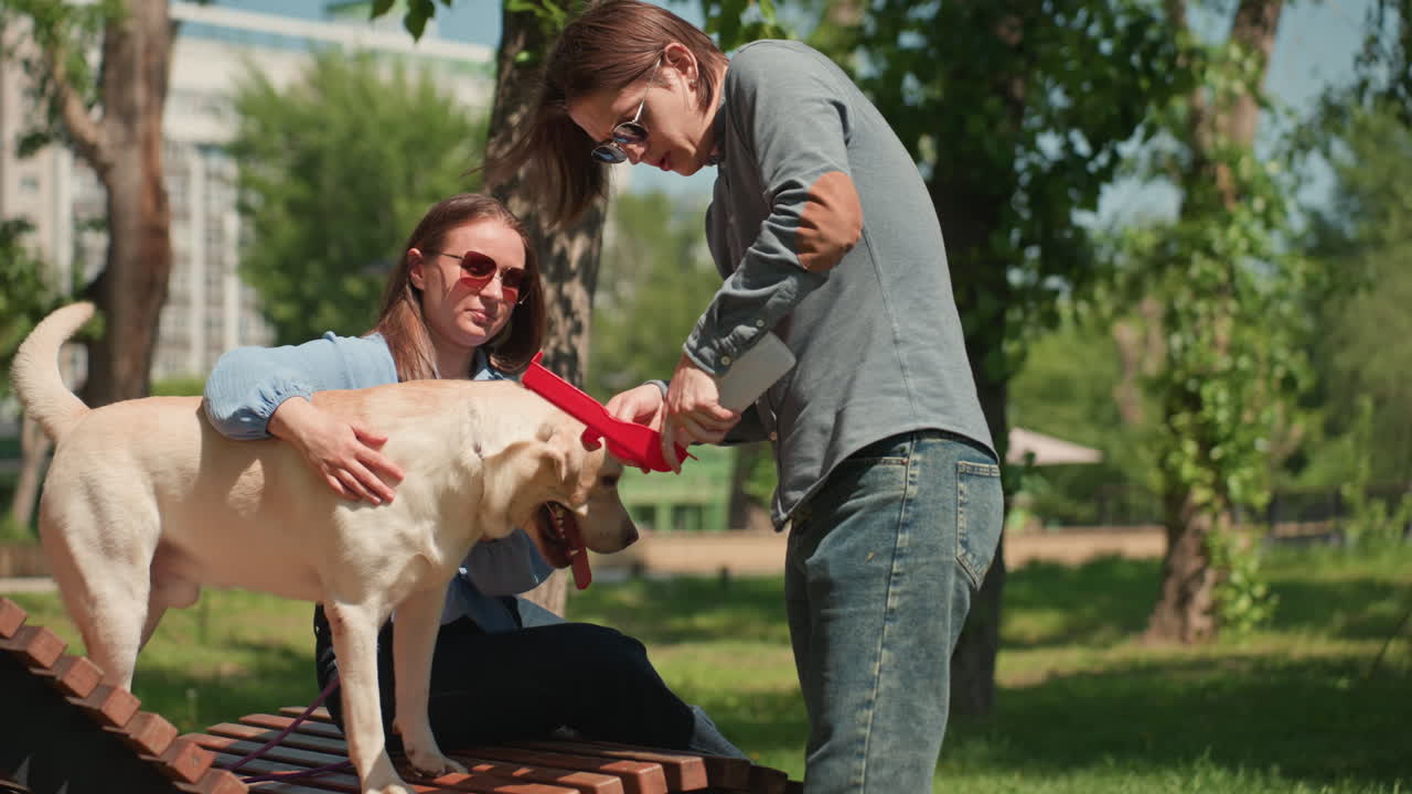 Un cachorro aprende felizmente jugando en el jardín; los dueños de mascotas guían con entusiasmo a un cachorro enérgico al aire libre; los dueños de perros encuentran alegría al entrenar a un labrador juguetón durante las actividades de jardinería y las sesiones de entrenamiento.