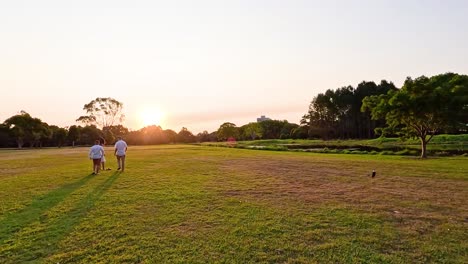 people walking in a park at sunset