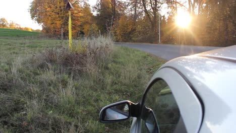 coche en un bosque con un pico de puesta de sol