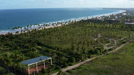 Toma-Aérea-De-Drones-Que-Revela-La-Hermosa-Costa-Tropical-De-Pernambuco,-Brasil,-Cerca-De-La-Famosa-Playa-Turística-De-Porto-De-Galinhas-O-Puerto-De-Pollo-Con-Un-Campo-De-Palmeras-Y-El-Océano