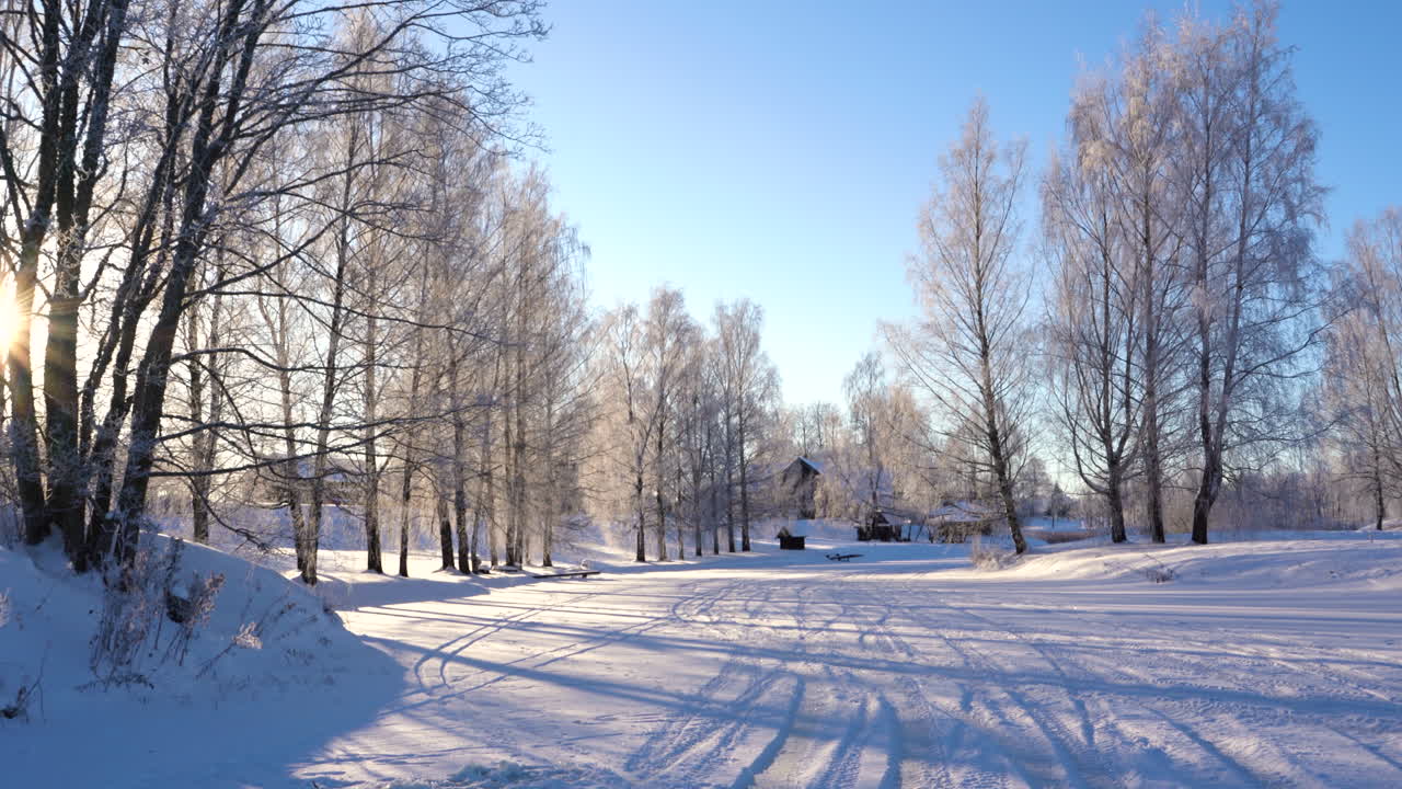 얼어붙은 버드나무와 멀리 있는 작은 시골 마을, 밝은 빛으로 겨울