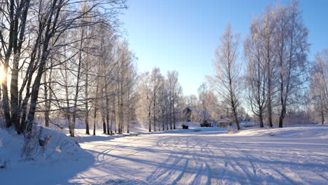 frozen birch trees and small rural village in distance, winter season with bright sun