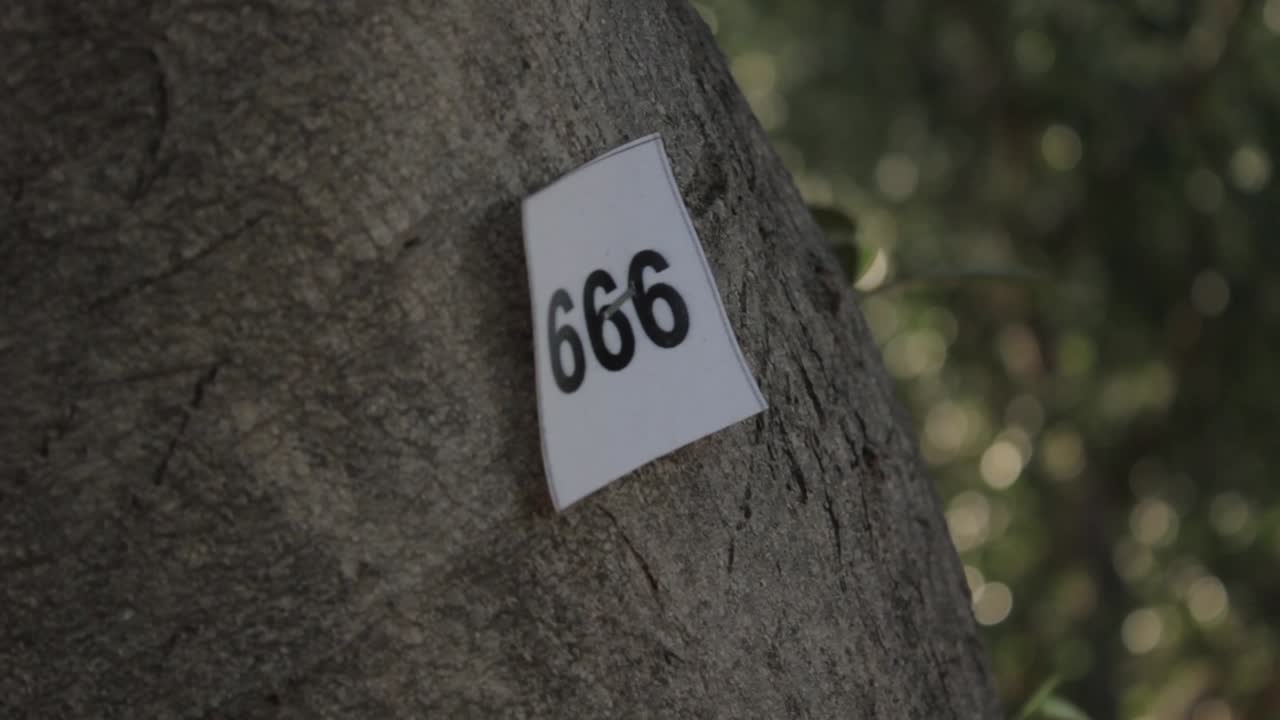 letter 666 on tree