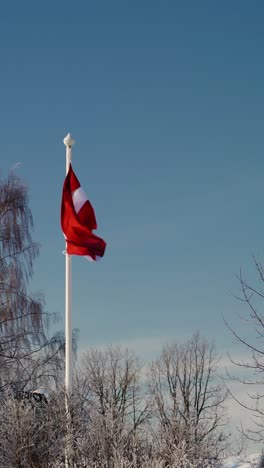 vertical video of national flag blowing in the wind on a flagpole in a cold winter day. frost and snow covered trees.