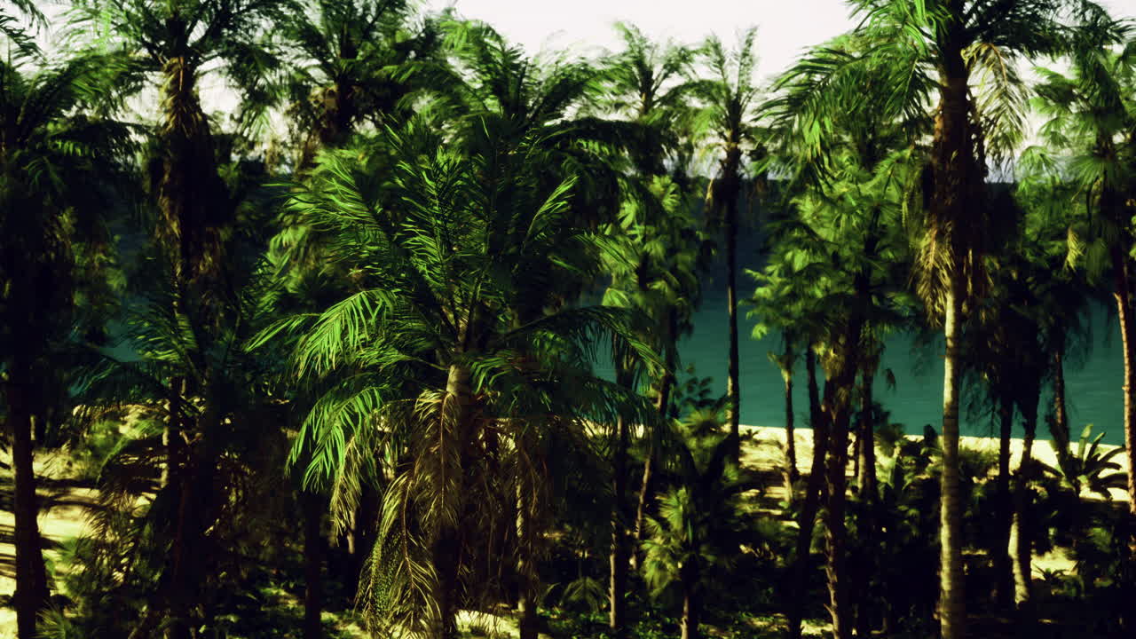 Lush tropical landscape with palm trees and serene beachfront view