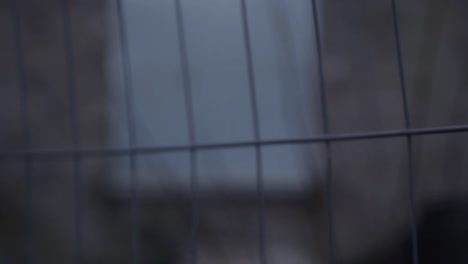 View-of-building-through-metal-fence-railings