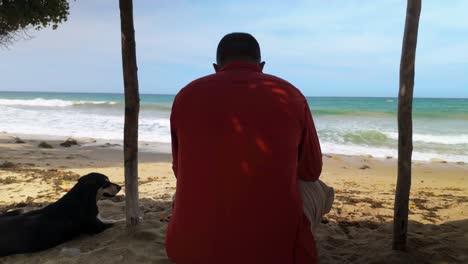 a man sits on a sunny sand beach in venezuela with his dog by his side, gazing at the ocean, seen from a rear view