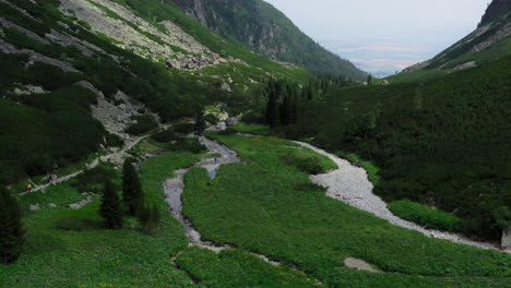 scenic mountain landscape with stream and forest