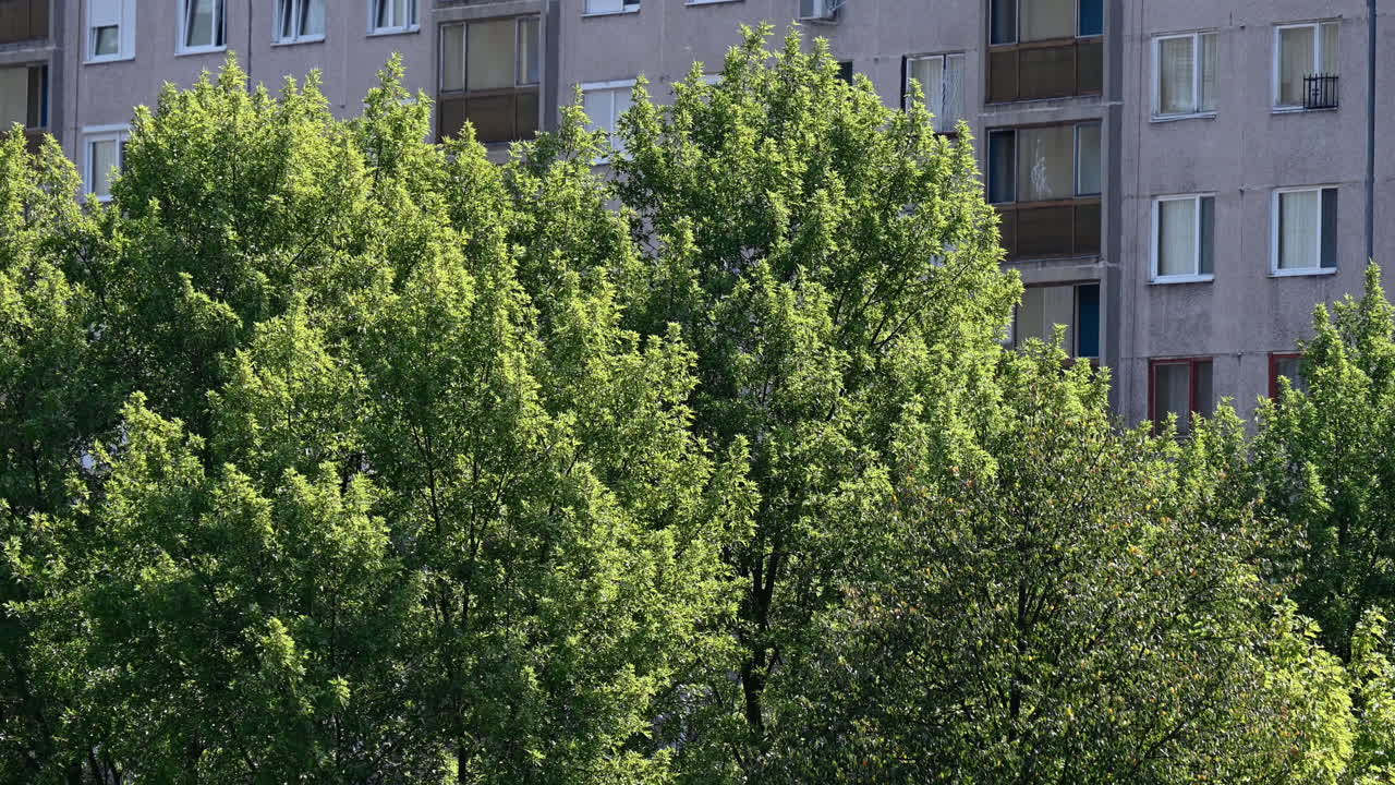 Urban Apartment Building with Lush Green Trees