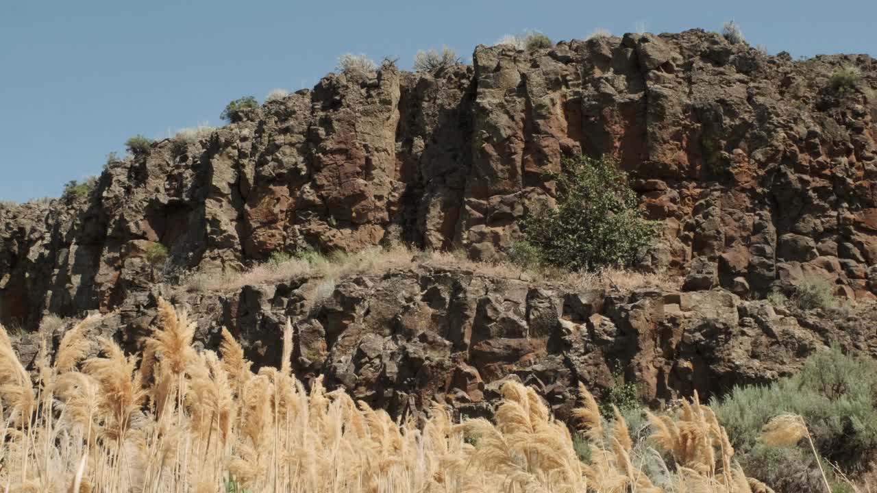 en la parte inferior de los acantilados de roca volcánica, la hierba dorada de las pampas sopla en la brisa