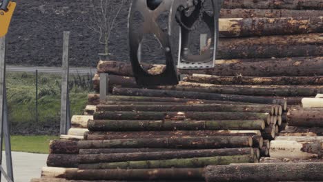 log loader moves stack of pine logs