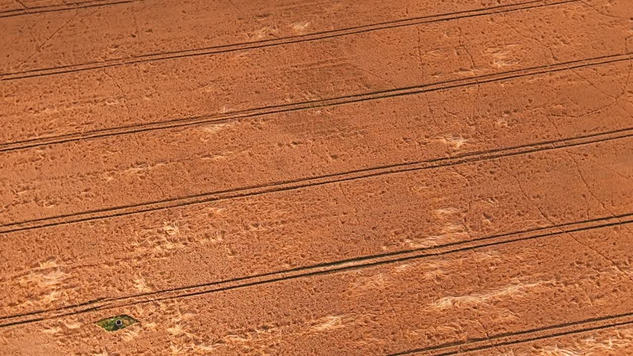 재배 된  의 공중 사진