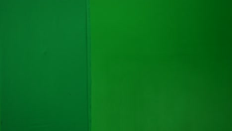 a mummy emerging from behind a green screen