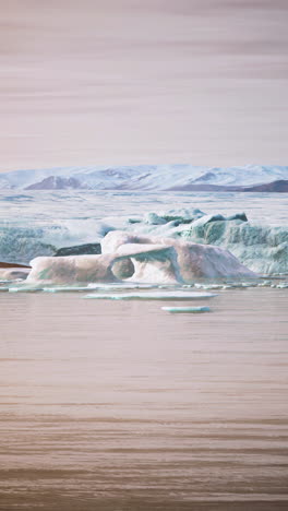 stunning icebergs in greenland