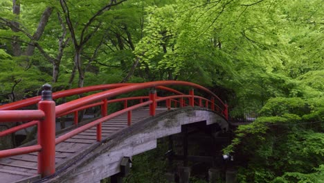 slow sideways slider over beautiful red wood bridge deep inside lush green forest