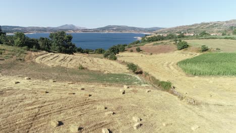 Agriculture-industry-development-Aerial-View