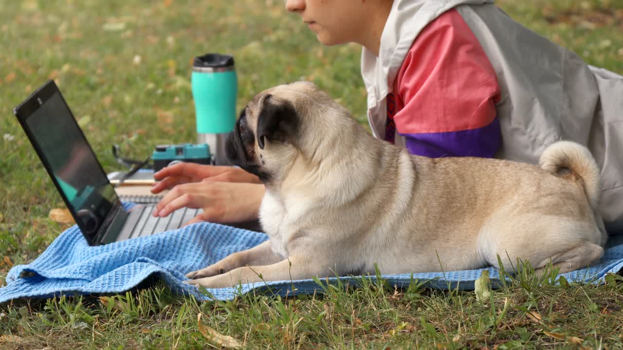 cerca de la chica acostada y escribiendo en la computadora portátil en un césped con su pug alrededor