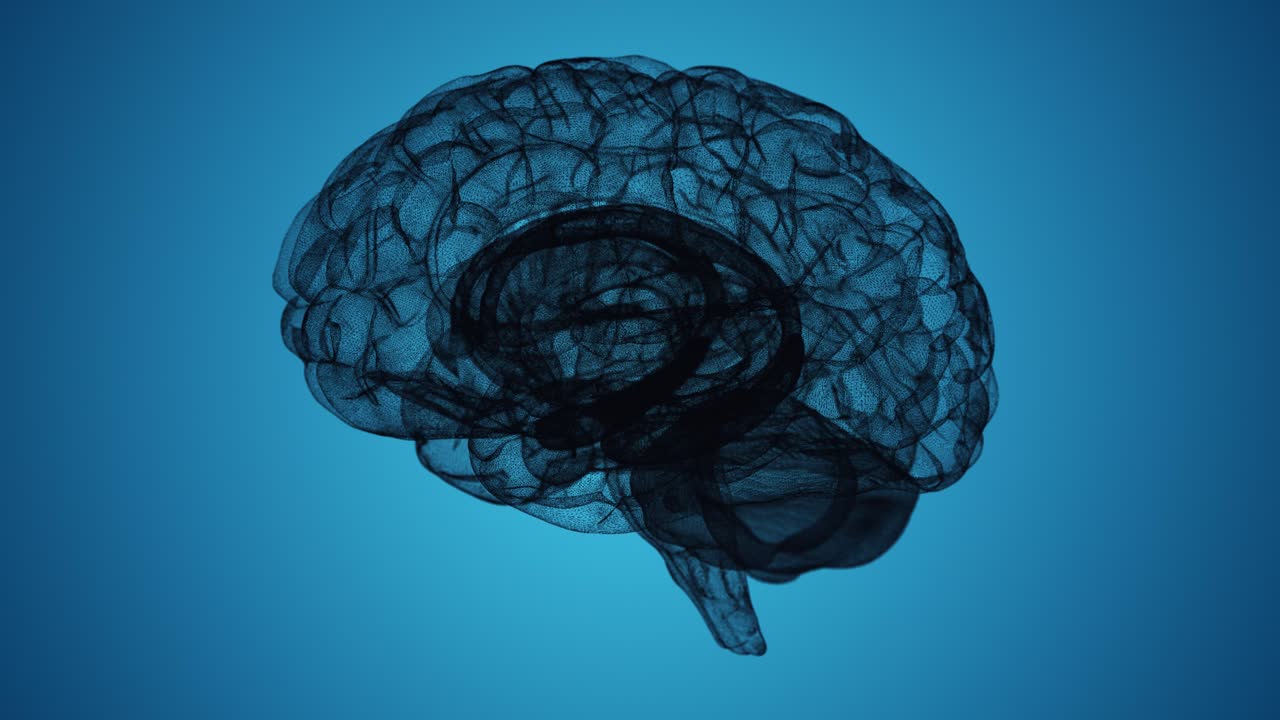 Premium stock video - Seamless loop of a wireframe d brain model