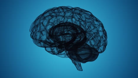 bucle ininterrumpido de un modelo de cerebro de estructura alámbrica d