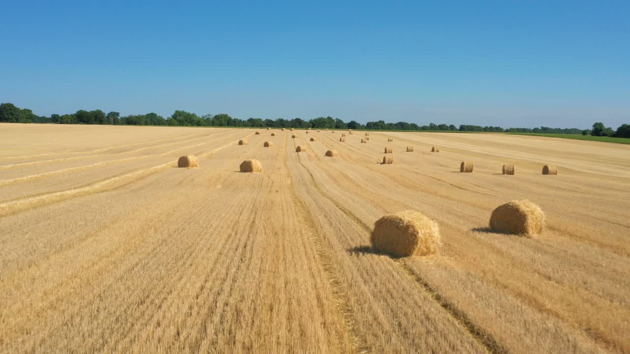 Tarladaki yuvarlak balyaların havadan görünümü.