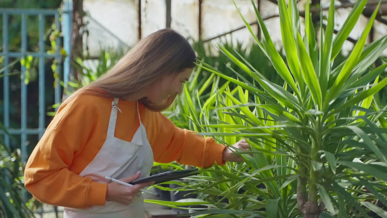 mujer examinando plantas en un invernadero