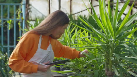 woman examining plants in a greenhouse