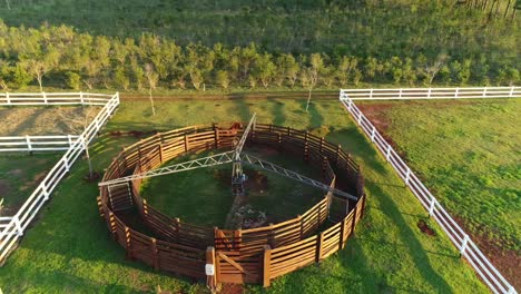 An-aerial-view-of-an-Arabian-horse-training-session