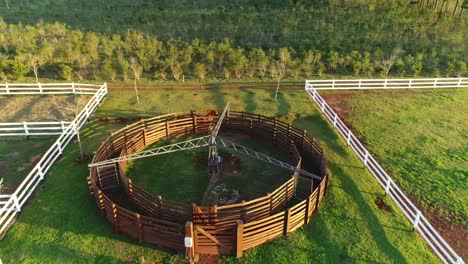 an aerial view of an arabian horse training session