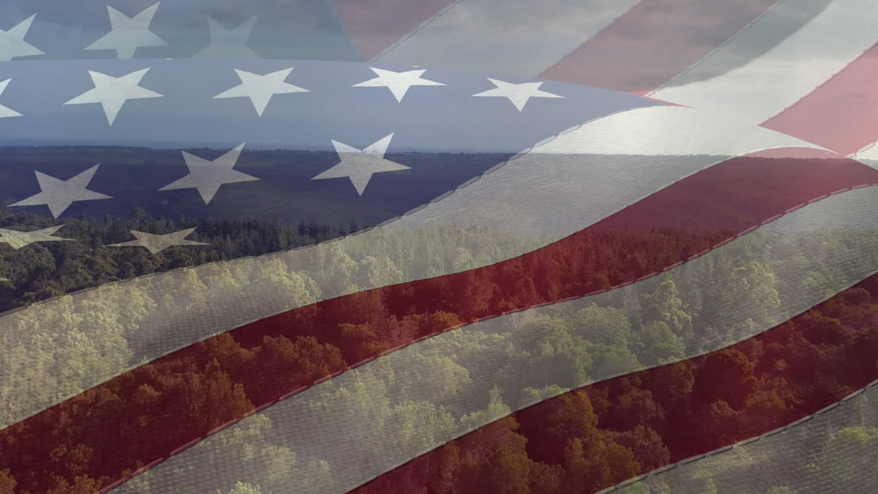 숲 위에서 미국 발의 애니메이션