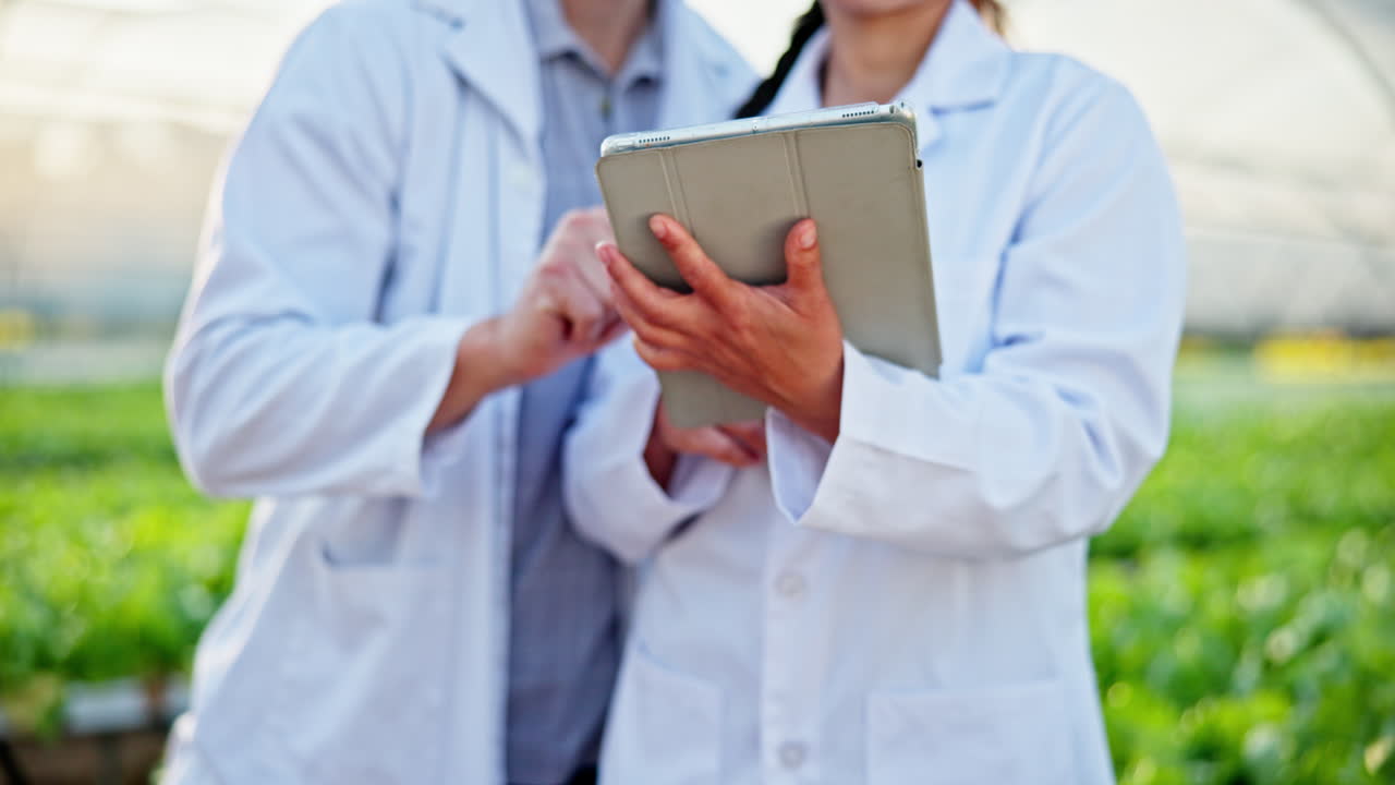 Scientists using tablet in greenhouse