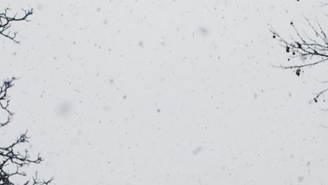 slow motion: pov shot of snow falling heavily from the sky