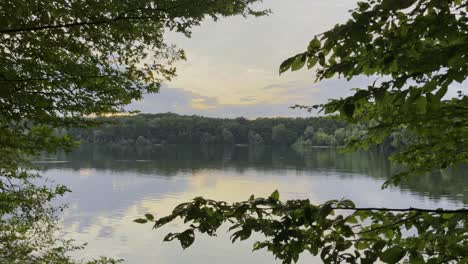 Small-lake-in-a-forest-in-Germany-at-sunset-with-many-trees-on-the-shore