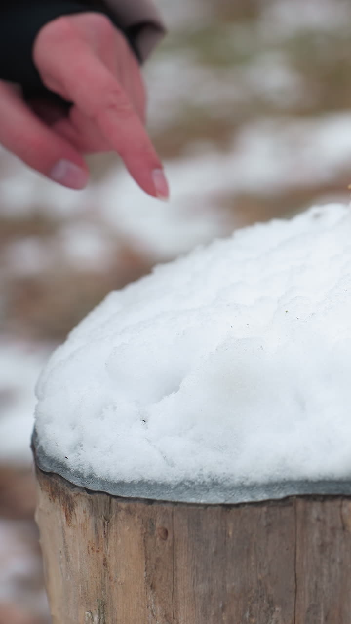primer plano de la mano de la mujer en el traje de invierno presionando en la nieve suave y fresca en el tronco de madera, paisaje cubierto de nieve con hojas secas esparcidas en el fondo