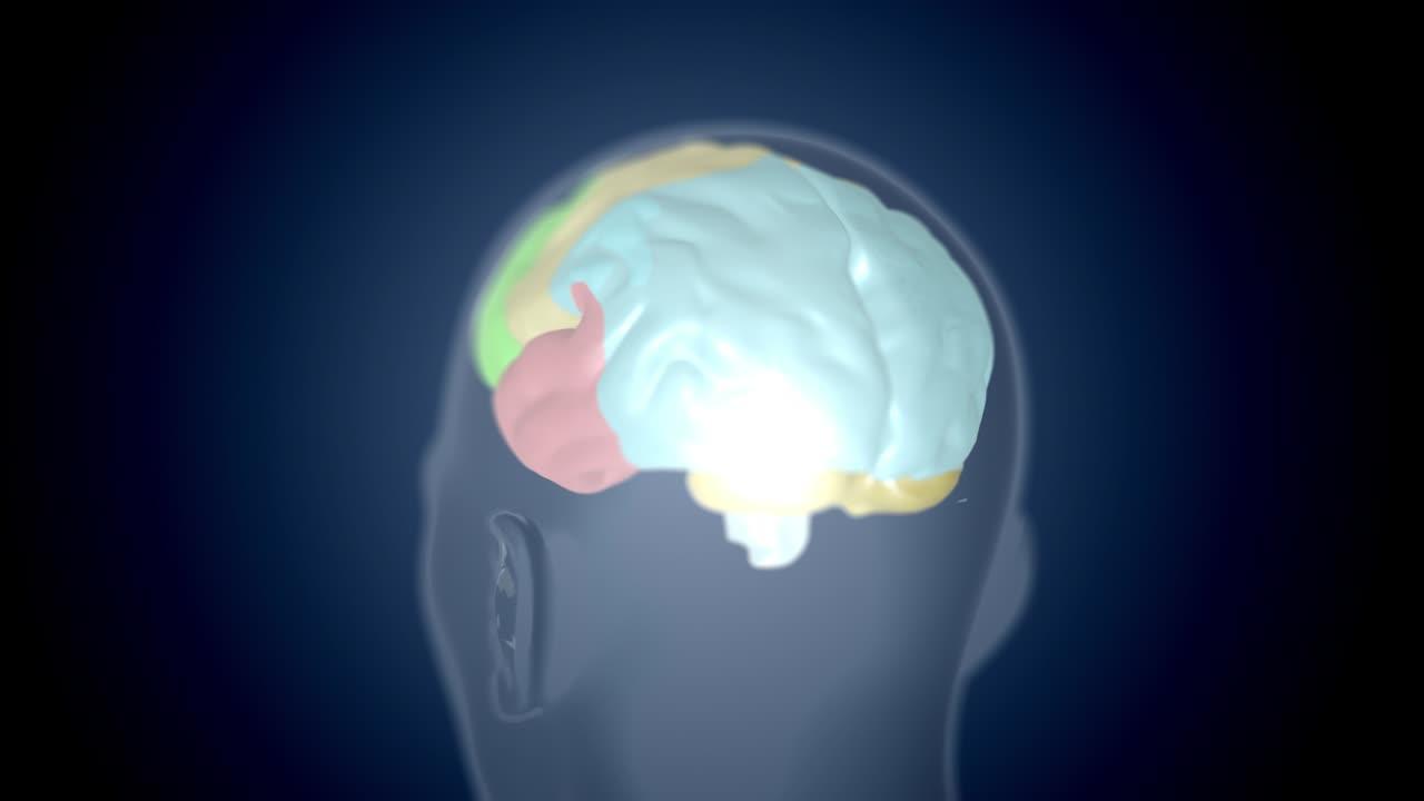 4k video of spinning human head with brain hologram.