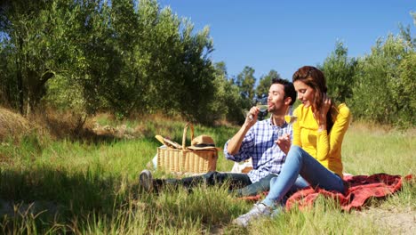 couple having a glass of wine in olive farm 4k