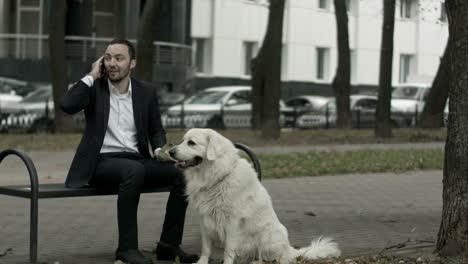 business man talking by phone, big white dog siting near him