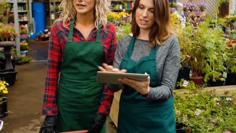 female florists discussing over digital tablet