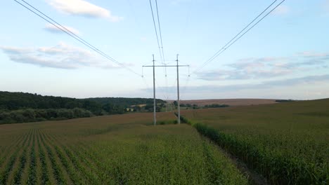 tower with electric power lines for transfering high voltage electricity located in agricultural cornfield. delivery of electrical energy concept