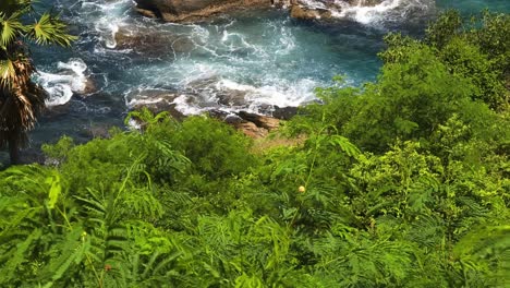 las olas del océano chocando contra las rocas