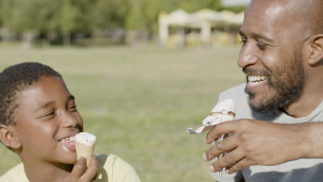 closeup of father and son eating ice cream in park.