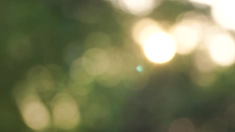 fondo desenfocado para fondo de vídeo, bokeh