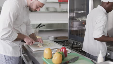 two diverse male chefs cutting vegetables in kitchen, slow motion