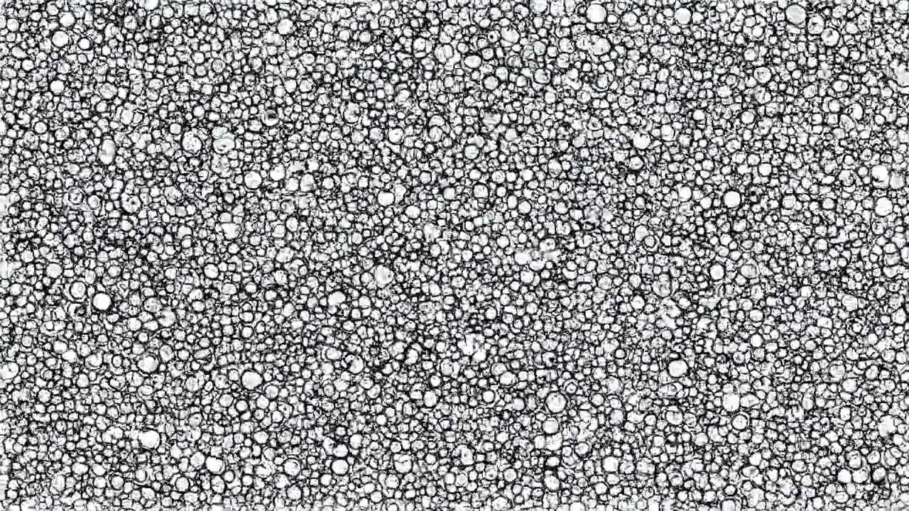 Primo piano di texture a bolle in bianco e nero, intricato motivo di schiuma che ricorda uno studio di cellule microscopiche, sterile e moderno.