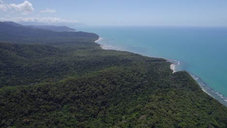 澳洲昆士蘭州cape tribulation的daintree國家公園雨林全景