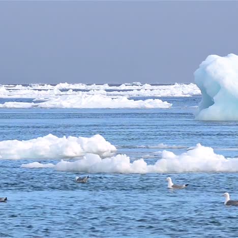 Flujo-En-Tiempo-Real-De-Hielo-Marino-Flotando-Junto-A-Icebergs-En-Tierra-En-El-Archipiélago-De-Svalbard,-Noruega-1